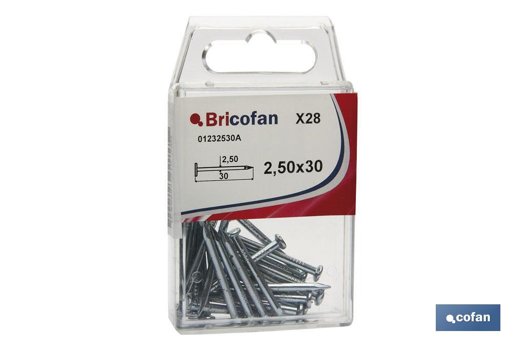 BL 28 UDS PUNTA ACERO C. PLANA Z. 2,5X30MM (PACK: 12 UDS)